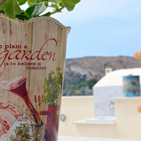 Naxos Olive House Lejlighed